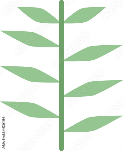 juniper leaf flat icon