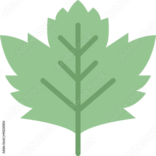sycamore leaf flat icon