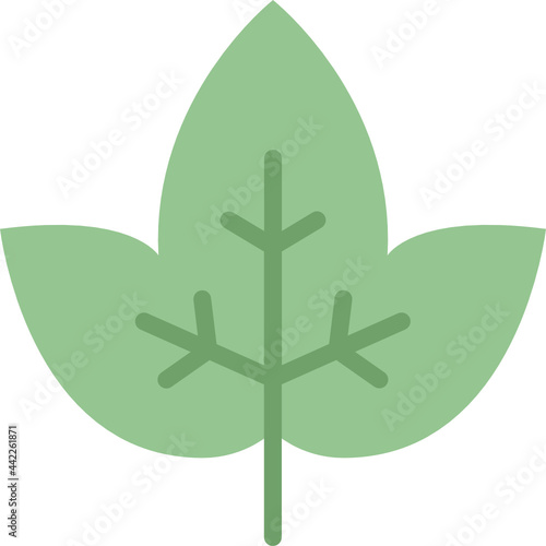 ivy leaf flat icon