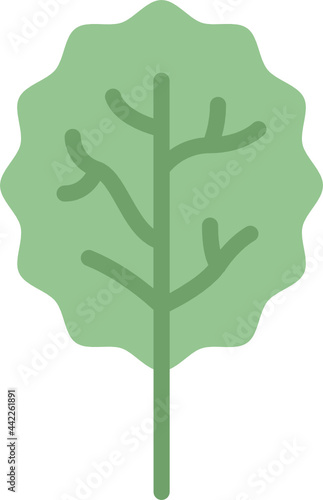 aspen leaf flat icon