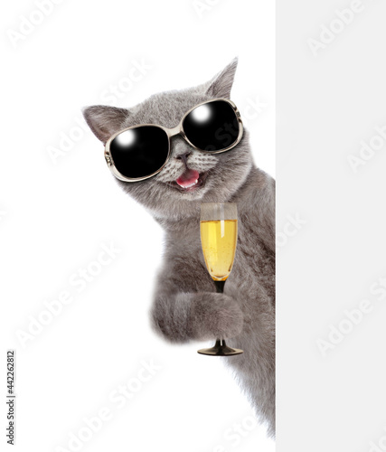 Happy cat  wearing sunglasses holds glass of champagne and looks from behind empty white banner. isolated on white background