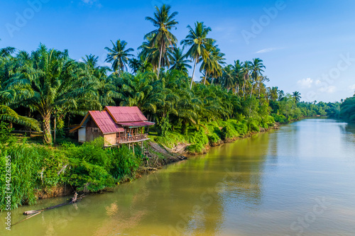 House along a river lined coconut trees in Thailand