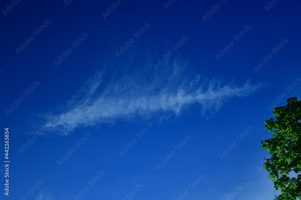 a cloud that looks like a bird's feather