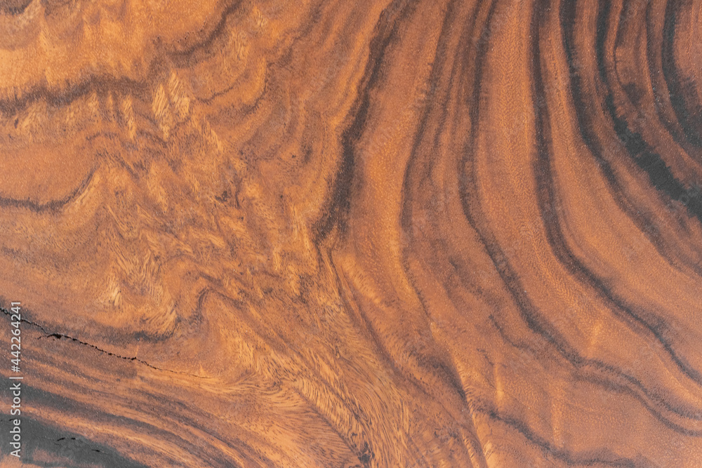 texture of wood texture of wood