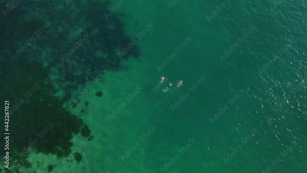 Friends swimming in the clear green waves of Bondi Beach, Australia - Aerial Friends swimming in the clear green waves of Bondi Beach, Australia - Aerial