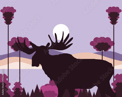 deciduous forest silhouette moose