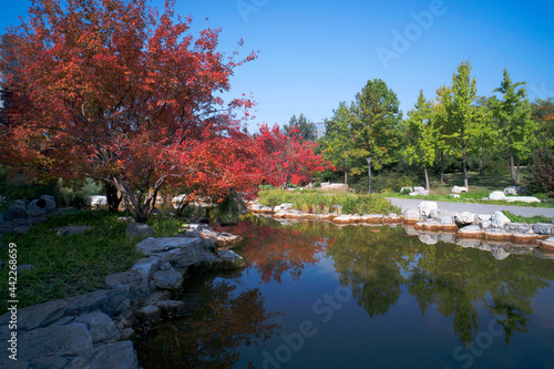 Autumn scenery in Dawangjing Park, Chaoyang District, Beijing photo