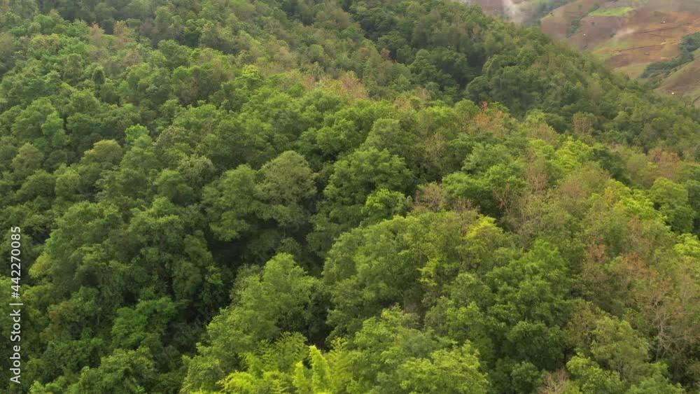 Aerial view flying above lush green tropical rain forest mountain with rain cloud cover during the rainy season on the Doi Phuka Mountain reserve national park. In, the northern Thailand Aerial view flying above lush green tropical rain forest mountain with rain cloud cover during the rainy season on the Doi Phuka Mountain reserve national park. In, the northern Thailand