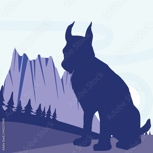silhouette lynx forest