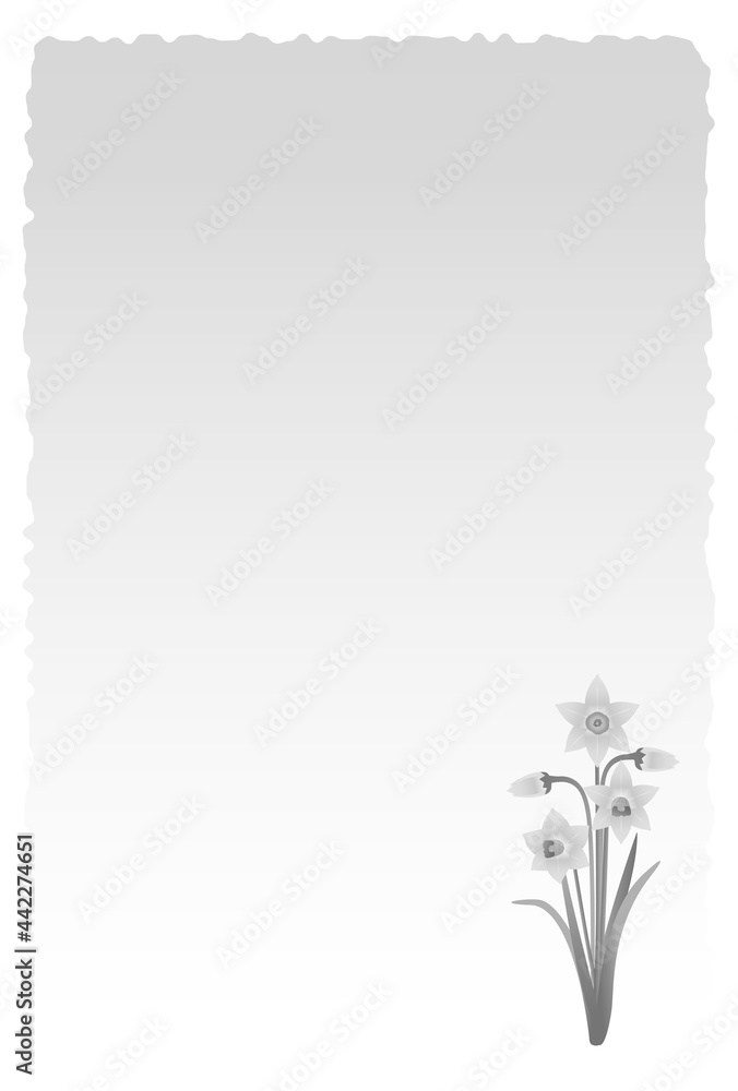 喪中はがき 水仙の花 喪中はがき 水仙の花