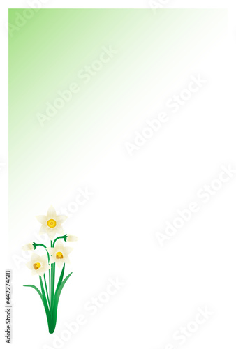 喪中はがき　水仙の花