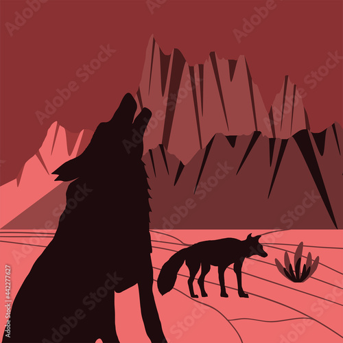 silhouette wolves in desert