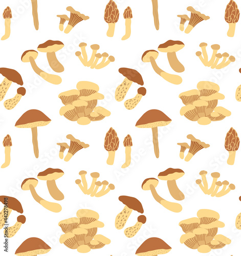 Vector forest seamless pattern with edible mushrooms. Color hand drawn flat illustration of chanterelle, boletus, polish, cep, oyster, flywheel, morel and honey mushrooms on white background.