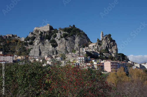 In the foreground, a hedge of wild rose with red fruits rich in vitamin C and flavonoids, in the background the characteristic village of Bagnoli del Trigno in the province of Isernia