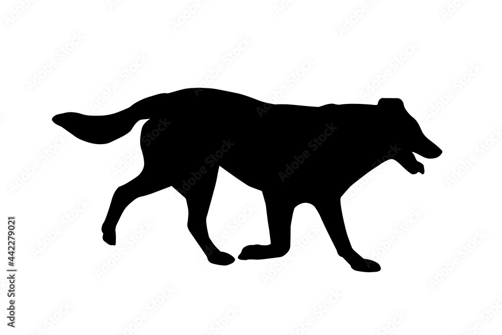 Black Profile of a running dog. Adult large dog of mixed breed with open mouth and tongue sticking out. Pet.