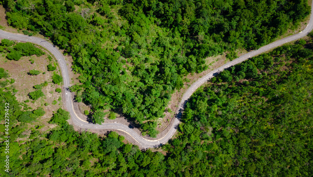 aerial top view of curves roadway pass through fresh green forest on mountain, road path on hill aerial top view of curves roadway pass through fresh green forest on mountain, road path on hill