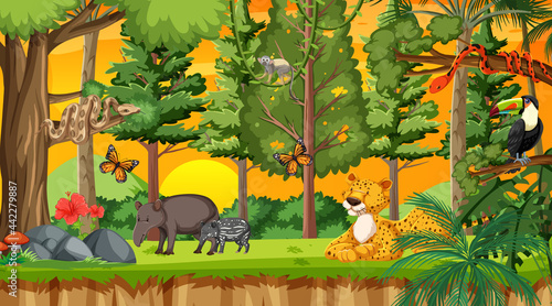 Canvas Print Nature forest at sunset time scene wtih wild animals