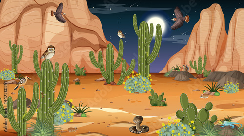 Desert forest landscape at night scene with desert animals and plants