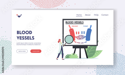 Blood Vessels Landing Page Template. Tiny Doctor with Magnifier Presenting Infographics of Blood Circulation in Vein