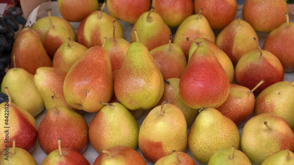 Pear harvest. Fruits background. Fresh organic juicy fragrant pear. Vitamin autumn nature concept. Pear harvest. Fruits background. Fresh organic juicy fragrant pear. Vitamin autumn nature concept.