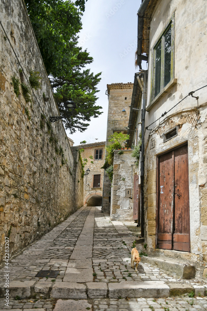 A narrow street among the old houses of Bovino, a medieval village in the Puglia region.