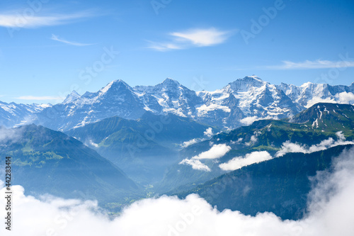 paraglider in front of the impressive Bernese Alps © schame87