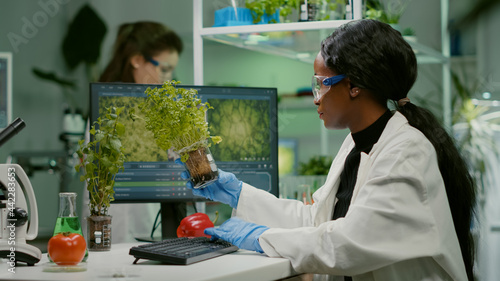 African woman researcher analyzing gmo of tomato and sapling working in biological laboratory. Biochemist scientist examining organic plants typing expertise information on computer
