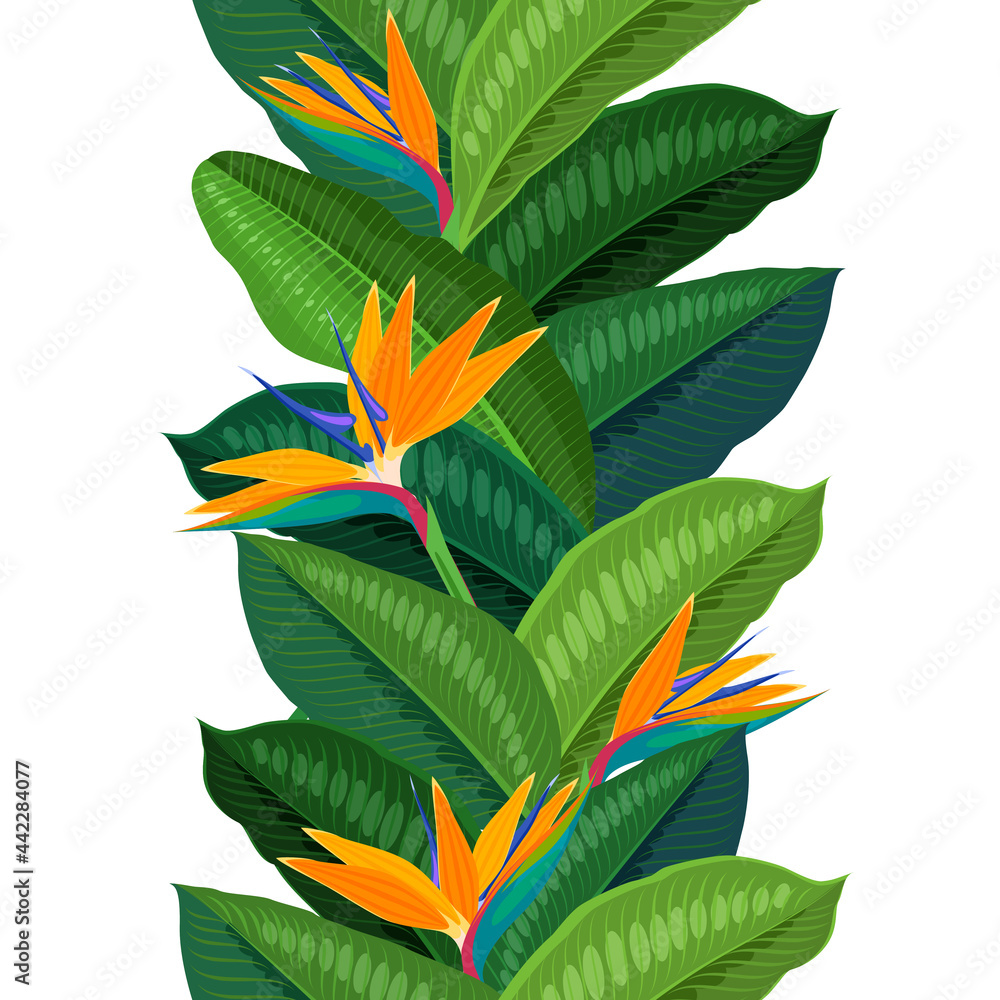 Obraz premium Tropical flower strelitzia, seamless vertical background. Vector illustration cartoon flat template for packaging design and wallpaper.