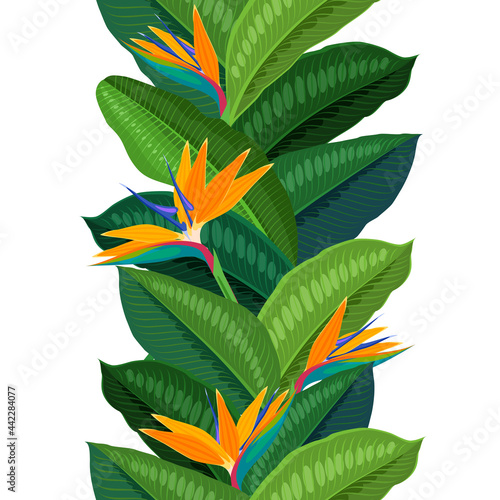 Tropical flower strelitzia  seamless vertical background. Vector illustration cartoon flat template for packaging design and wallpaper.