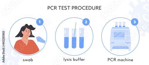 Covid-19 test procedure Infographic. A doctor or nurse in latex gloves takes nasal swab test. Woman doing Coronavirus testing. Swap sample in lysis buffer and RT PCR machine. Vector Illustration.