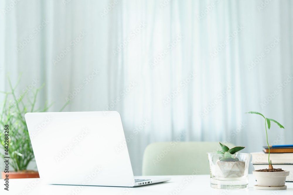 Fototapeta premium Beautiful workspace - online remote work from home concept. A clean white table with computer laptop and plants beside the window with sun light shine through the curtain. No people.