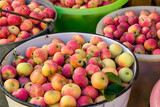 Fresh yellow-red small apples in buckets