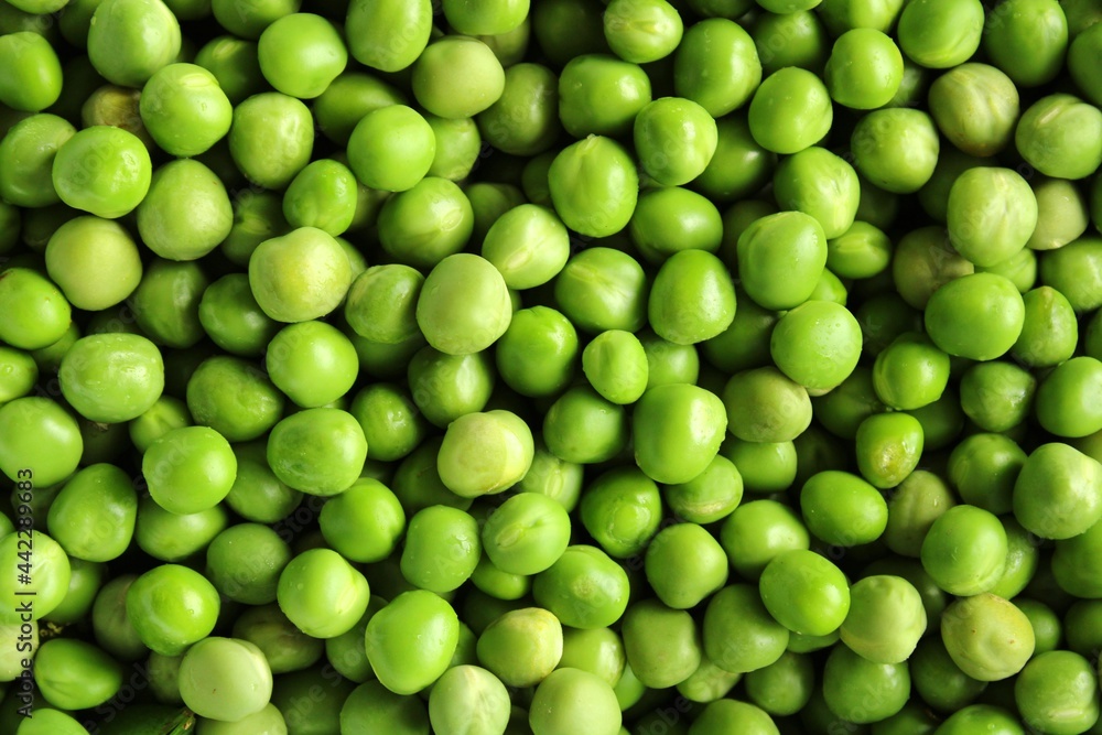 Green peas background, fresh vegetables in summer Green peas background, fresh vegetables in summer