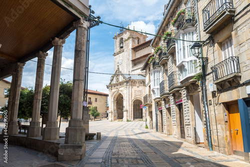 beautiful streets of salvatierra medieval town  Spain