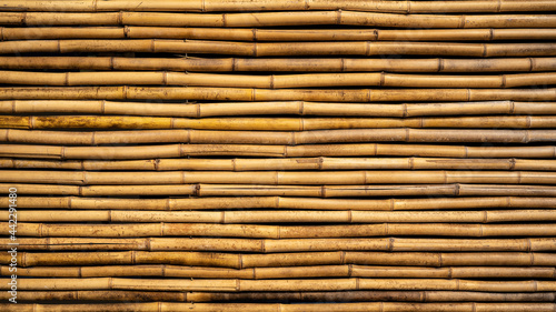 Bamboo tubes fence texture background