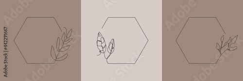 Set Hand Drawn floral Organic grass, Leaves and flower with hexagon frame, Decorative Leaf element. Line art Vector Illustration for social media, wedding, invitation, logo, cosmetic