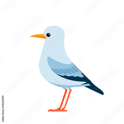 Gull or seagulls are seabirds of the family Laridae. Seabirds Cartoon flat vector illustration isolated on white background