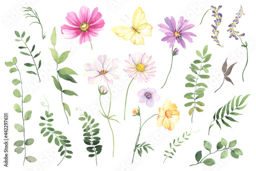Set of wildflowers, wild plants, green leaves and flying butterfly yellow color. Watercolor floral collection design elements isolated on white background for invitation, greeting cards or textile. © Nikole