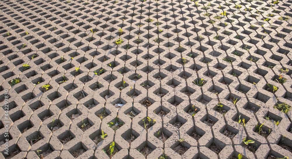 Fototapeta premium Background from paving slabs with grass sprouting through them. Stone tiles on the sidewalk. Footpath. Textured patterned background. Eco-friendly covering - concrete lawn grating.
