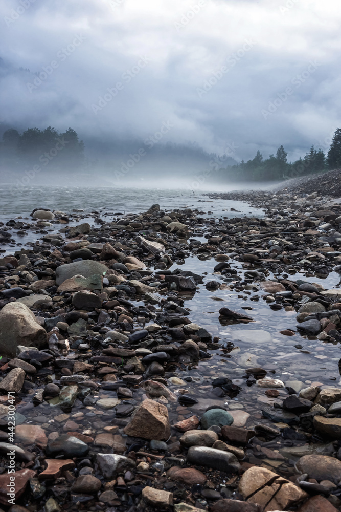 Dark and moody river and rocks landscape with fog in the trees and water. Moody nature vibes with mist and dark cold weather. Dark and moody river and rocks landscape with fog in the trees and water. Moody nature vibes with mist and dark cold weather.