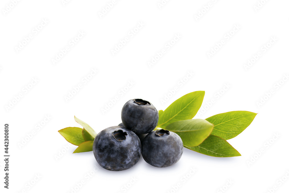 Blueberry isolated on a white background with green leaves. Blueberries with leaves on white. Full depth of field. Isolate Blueberry isolated on a white background with green leaves. Blueberries with leaves on white. Full depth of field. Isolate