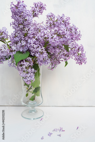 Bunch of fresh lilac flowers in glass vase close up isolated on white background