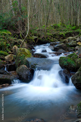Fototapeta Naklejka Na Ścianę i Meble -  Stream in the Gorbeia Natural Park. Basque Country. Spain