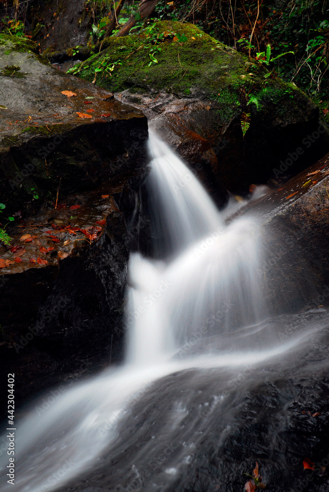 Fototapeta premium Stream in the Gorbeia Natural Park. Basque Country. Spain