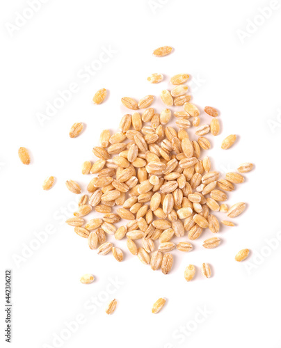 Pearl barley grains, isolated on white background. Barley seed close up. Top view.
