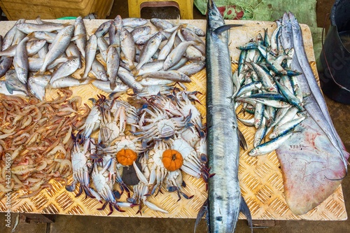 Display of fish and seafood photo