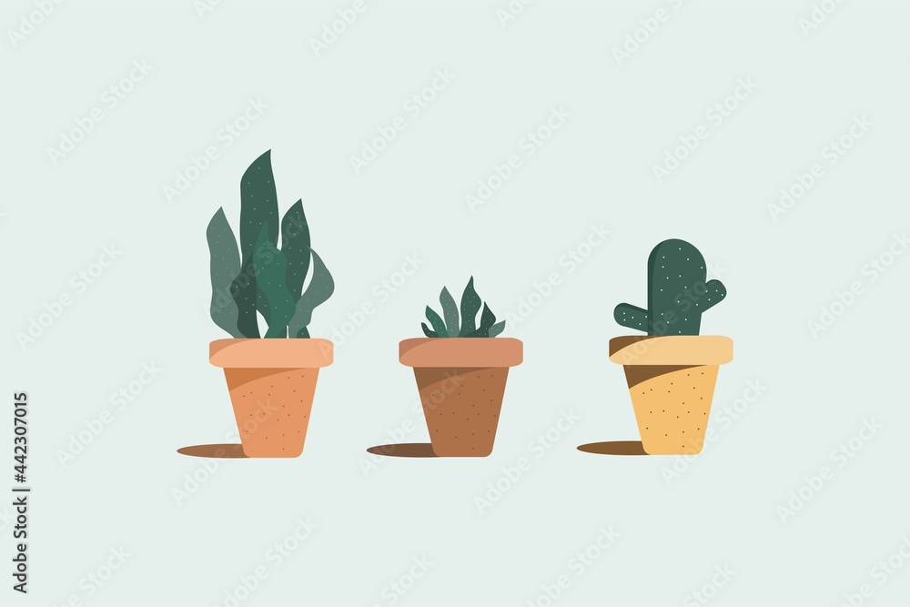 Three of garden potted plants vector.