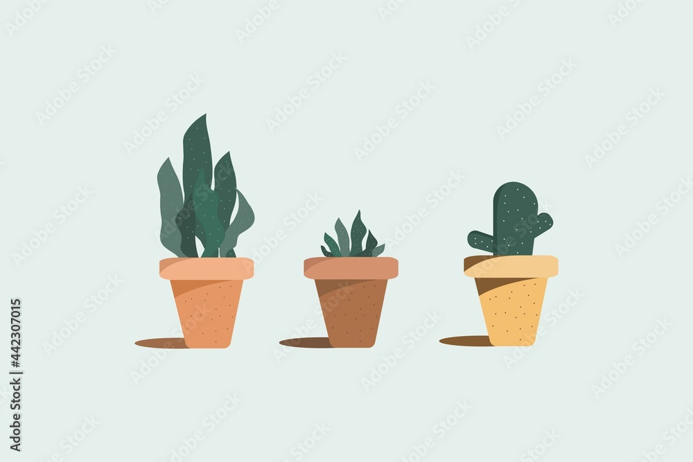 Fototapeta premium Three of garden potted plants vector.