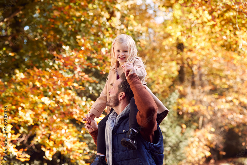 Father Playing Game Carrying Daughter On Shoulders On Family Walk Along Track In Autumn Countryside Father Playing Game Carrying Daughter On Shoulders On Family Walk Along Track In Autumn Countryside