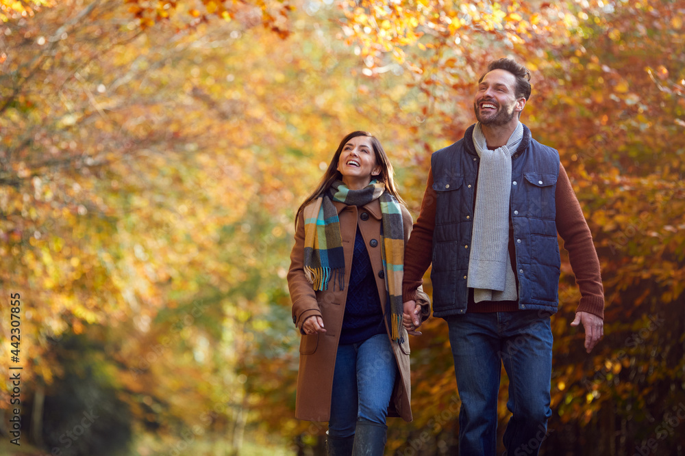 Loving Mature Couple Holding Hands Walking Along Track In Autumn Countryside Loving Mature Couple Holding Hands Walking Along Track In Autumn Countryside